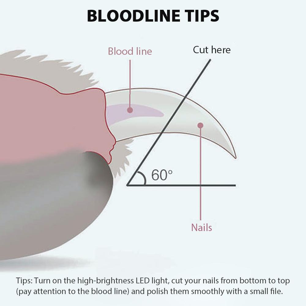 The bright LED lights make it easier to find bloodlines in cat or dog nails, which can greatly reduce the risk of over cutting nails